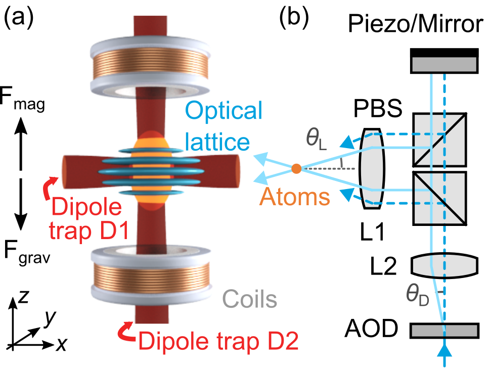 Fig. 1: (a) The experimental setup uses an accordion lattice with variable lattice spacing. (b) The accordion lattice is created with an acousto-optic deflector.