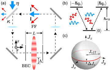 Generating Multiparticle Entangled States by Self-Organization.