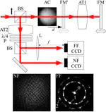 Self-organized length scales beyond the linear Talbot effect.