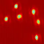 Solitons and vector vortex beams in broad-area VCSELs