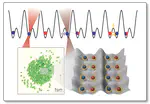 Lithium Quantum Microscope for Fermionic Quantum Simulations