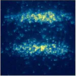 Microwave preparation of two-dimensional fermionic spin mixtures