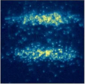 Microwave preparation of two-dimensional fermionic spin mixtures