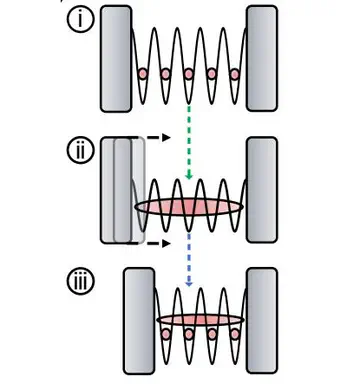 Commensurate and incommensurate 1D interacting quantum systems