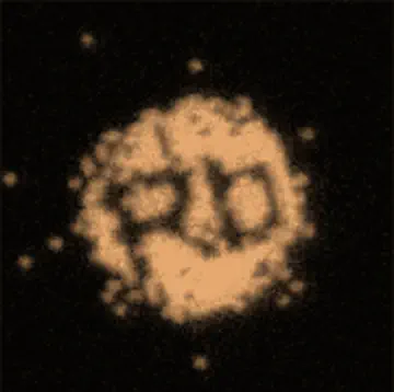 Quantum-gas microscopy with Rb<sup>87</sup>