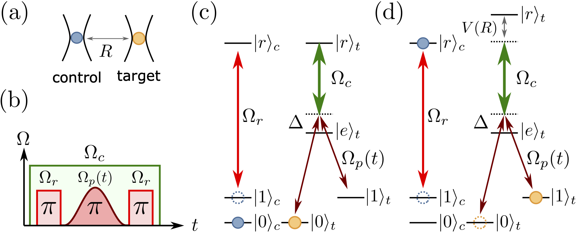 EIT gate protocol (a) Control and target qubits in individual traps (b) Excitation pulse sequence (c) If the control qubit is in state |0>, the EIT condition on the target qubit prevents transfer whilst (d) if the control qubit is in |1> it is Rydberg excited, with interactions breaking the EIT condition and the target undergoes a Raman transition to implement a native CNOT gate.