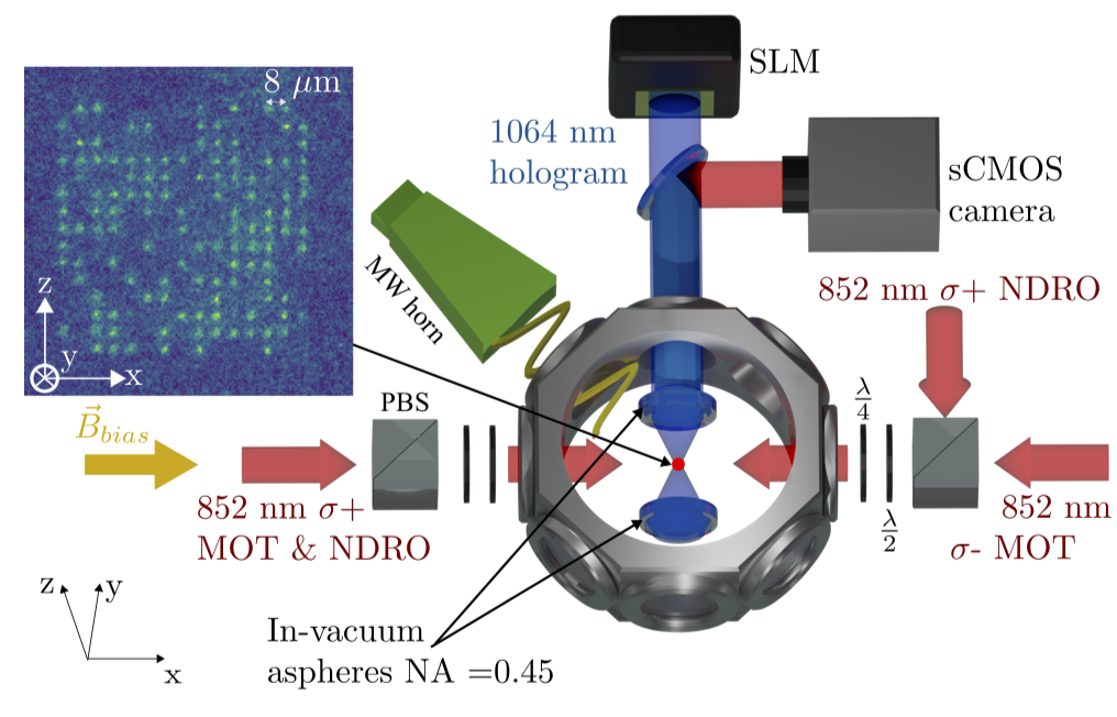 Experiment setup for randomised benchmarking a neutral atom array
