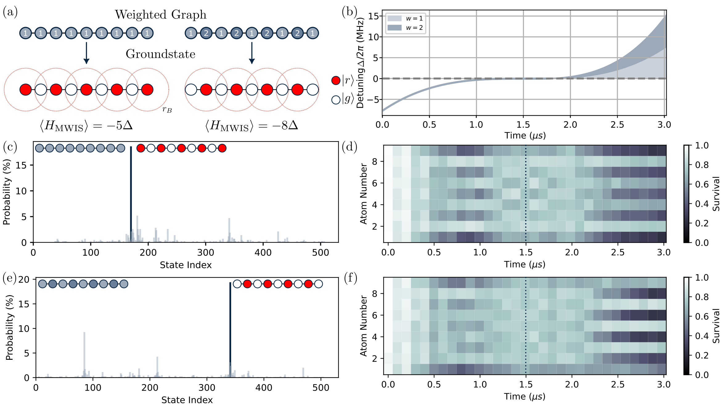 Optimisation with 1D weighted chains: (a) For a uniformly weighted, odd-length 1D graph the ground state is the Z2-ordered phase with Rydberg excitations on odd sites which corresponds to the unweighted MIS. Introducing a weighting with wi=2 on even sites results in an MWIS ground state with Rydberg excitations localised to the even sites which is no longer equivalent to the MIS solution. (b) Optimal annealing ramp for preparing the weighted ground state obtained via closed-loop optimization for N=9 atoms spaced by a=7 µm. Output state probability (c) and time evolution (d) for the unweighted graph showing the odd-ordered target ground state is prepared with 19(1)% probability. Output state probability (e) and time evolution (f) for the weighted graph showing even-ordered ground state is also prepared with 19(1)% probability.