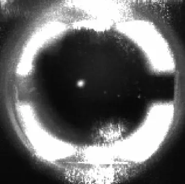 First cryogenic Cs MOT!