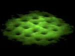 Vortices in Superfluids